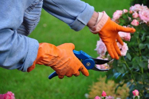 Operator using strimmer with safety equipment in a residential garden