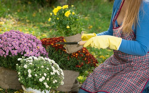 Company representative inspecting a lawn for quality assessment