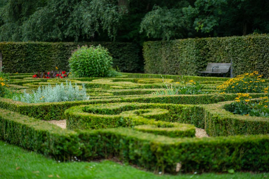 A neatly maintained formal garden featuring precisely trimmed boxwood hedges forming geometric patterns, with gravel pathways between them. In the background, a lush green shrub and a variety of flowe