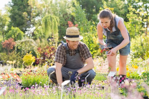 Professional lawn mowing services in Charlton maintaining a lush green lawn